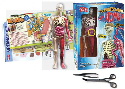 Игровой набор НОВЫЙ ФОРМАТ &quot;Увлекательная анатомия&quot; 29 предметов
