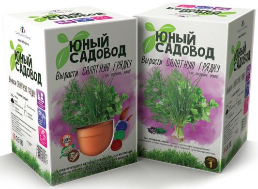 Набор для выращивания Инновации для детей "Юный садовод" - Вырасти салатную грядку 403