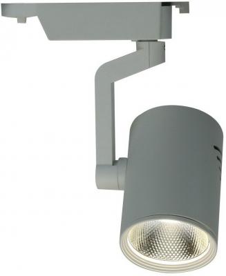 Трековый светодиодный светильник Arte Lamp Traccia A2310PL-1WH