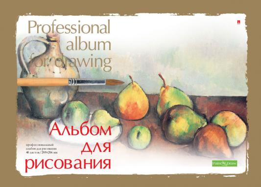 Альбом для рисования Альт Профессиональный A4 40 листов 1-40-236 в ассортименте