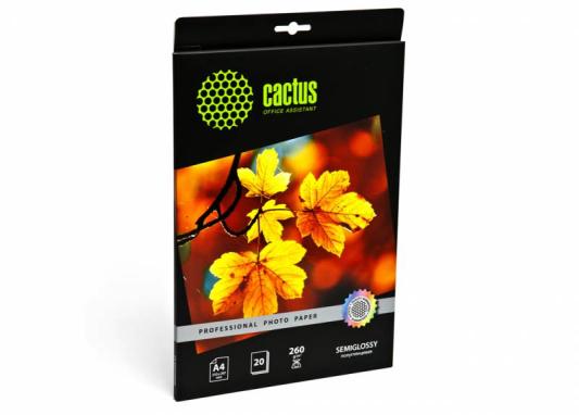 Бумага Cactus CS-SGA426020 А4 260г/м2 полуглянцевая 20 листов