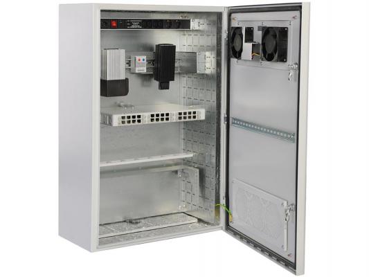 Шкаф уличный всепогодный настенный 6U ЦМО ШТВ-Н-6.6.3-4ААА 600х300mm