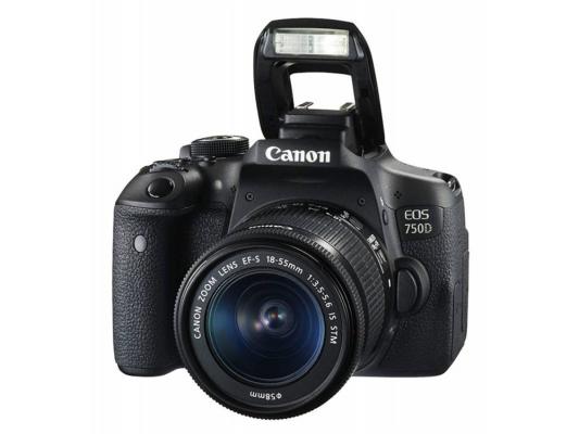 Зеркальная фотокамера Canon EOS 750D Kit 18-55 IS STM 24Mp черный 0592C005