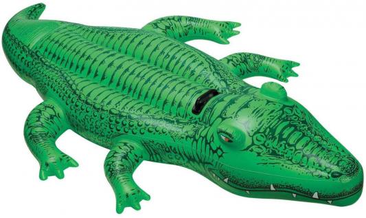 н.крокодил с держ.168х86см от 3лет с58546
