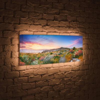 Лайтбокс панорамный Цветы на закате 60x180-p002