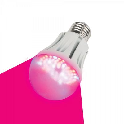 Лампа светодиодная шар Uniel 09645 E27 9W LED-A60-9W/SP/E27/CL для растений