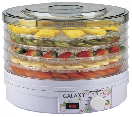 Сушилка для овощей и фруктов GALAXY GL2633 белый прозрачный