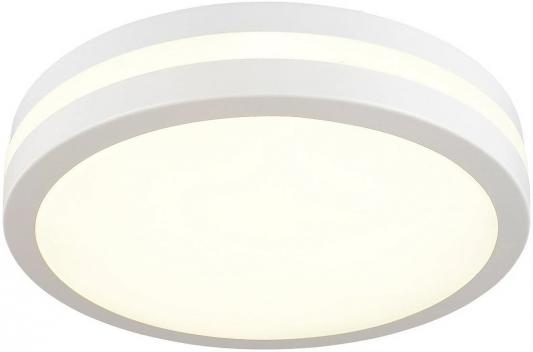 Потолочный светодиодный светильник Omnilux OML-43407-34