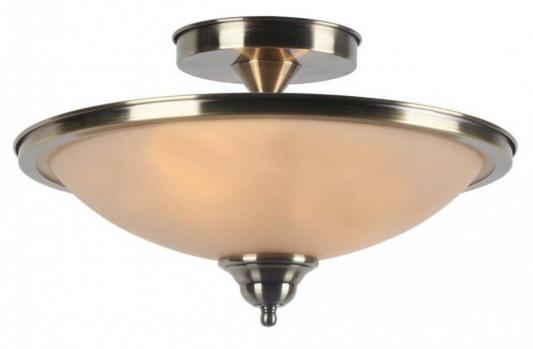 Потолочный светильник Arte Lamp Safari A6905PL-2AB