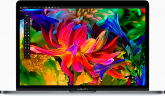 Ноутбук Apple MacBook Pro 13.3" 2560x1600 Intel Core i5-6360U Z0SW0006P/Z0SW/2