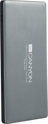 Портативное зарядное устройство Canyon CNS-TPBP5DG 5000мАч серый