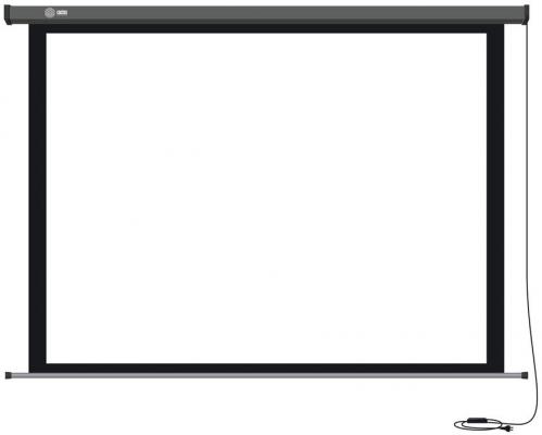Экран настенный Cactus Professional Motoscreen CS-PSPM-206X274 206x274см 4:3