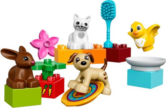 Конструктор LEGO Домашние животные 15 элементов 10838