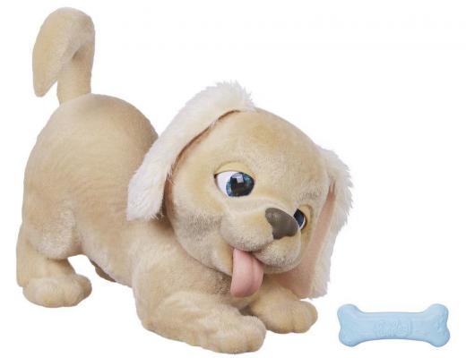 Интерактивная игрушка HASBRO Пушистый друг «Щенок Голди» FurReal Friends 2 предмета