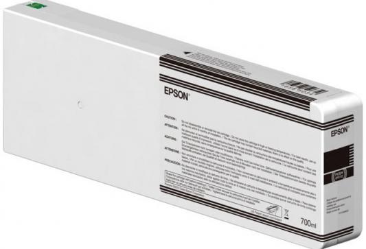 Картридж Epson C13T804700 для Epson CS-P6000 серый