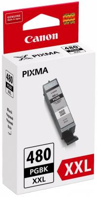 Картридж Canon PGI-480XXL PGBK для Canon Pixma TS6140/TS8140TS/TS9140/TR7540/TR8540 черный 1969C001