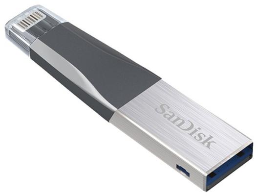 Флешка USB 16Gb SanDisk iXpand Mini SDIX40N-016G-GN6NN серебристый