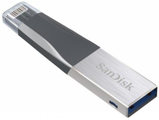 Флешка USB 128Gb SanDisk iXpand Mini SDIX40N-128G-GN6NE серебристый черный