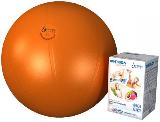 Мяч медицинский Альпина Пласт Для реабилитации 65 см