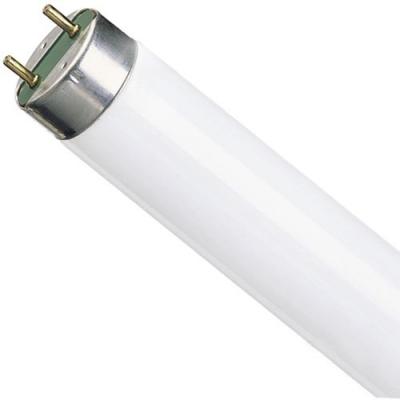 Лампа люминесцентная Osram Basic G13 36W/765