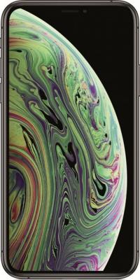 Смартфон Apple iPhone XS 256 Гб серый (MT9H2RU/A)