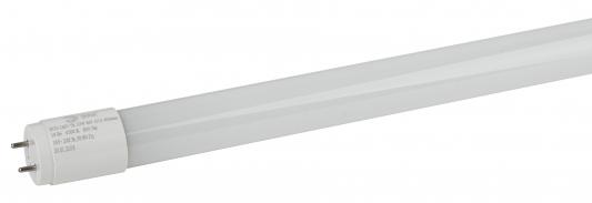 Лампа светодиодная трубчатая Эра T8-10W-865-G13-600mm G13 10W 6500K Б0032975