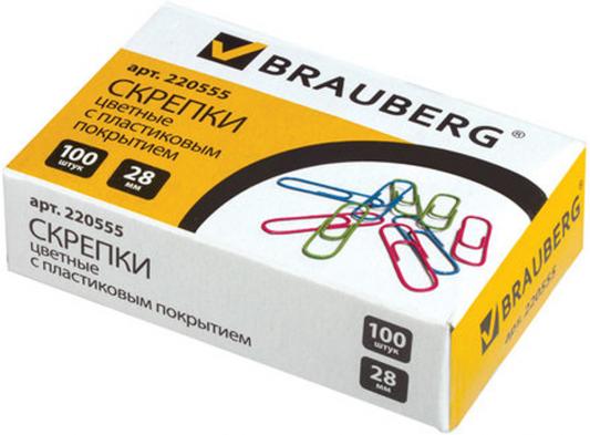 Скрепки BRAUBERG, 28 мм, цветные, 100 шт., в картонной коробке, Россия, 220555