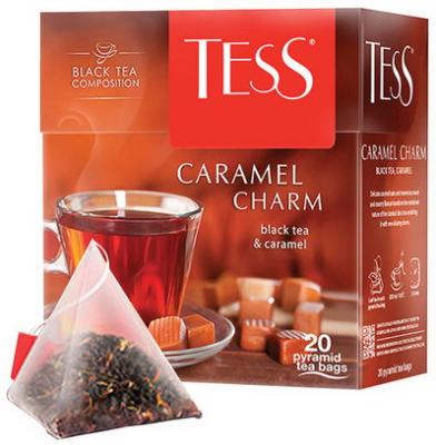 Чай TESS (Тесс) "Caramel Charm", черный с карамелью, 20 пирамидок по 1,8 г, 0883-12