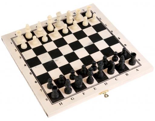 Настольная игра Shantou логическая Шахматы