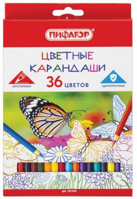 Карандаши цветные ПИФАГОР "БАБОЧКИ", 36 цветов, классические заточенные, 181354