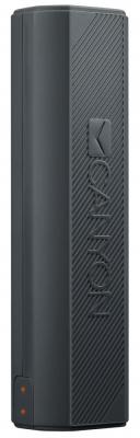 Внешний аккумулятор Power Bank 2600 мАч Canyon CNE-CPBF26DG темно-серый