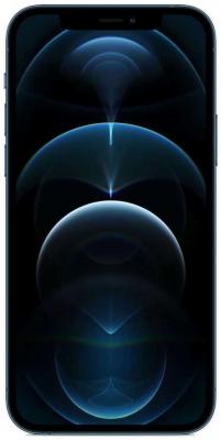 Apple iPhone 12 Pro Max 256GB Pacific Blue [MGDF3RU/A]