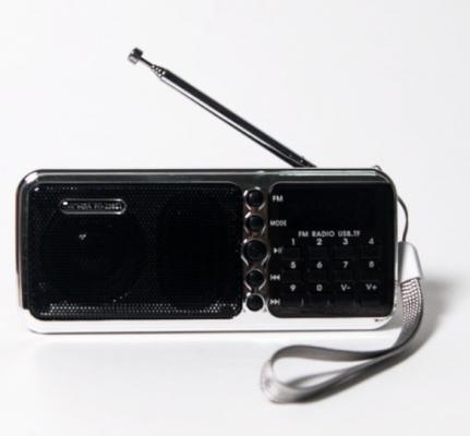 Радиоприемник портативный Сигнал РП-226BT черный USB microSD