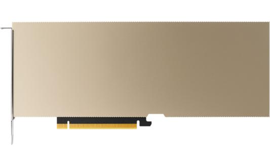 NVIDIA TESLA  A10 CEC 24GB PCI EXP  (TCSA10MCEC-PB)
