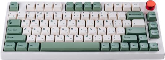 TH80 Pro Keyboard Gateron Blue White Botanic Garden