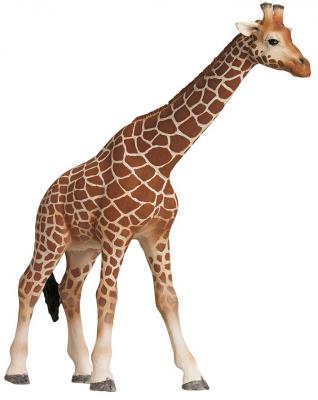 Фигурка Schleich Животные из зоопарка. Жираф 12 см 14320