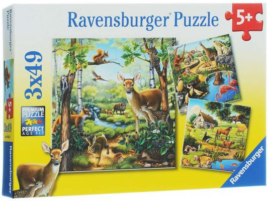 Пазл Ravensburger Лес, зоопарк, домашние животные 3 х 49 элементов 49 элементов