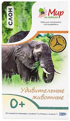Развивающие карточки Умница Мир на ладошке Слон, удивительные животные 80348