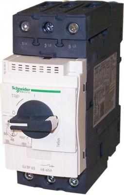 Автоматический выключатель Schneider Electric с регулируемой тепловой защитой 65А GV3P65