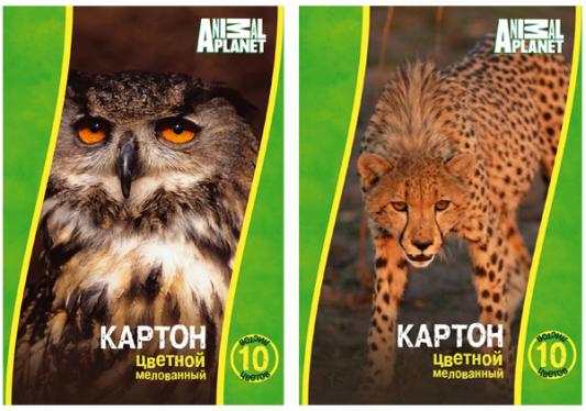 Набор цветного картона Action! Animal Planet A4 10 листов AP-CC-10/10-2 в ассортименте